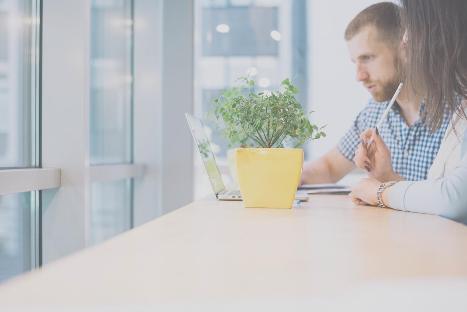 Finanzanalyse Grundlagen lernen